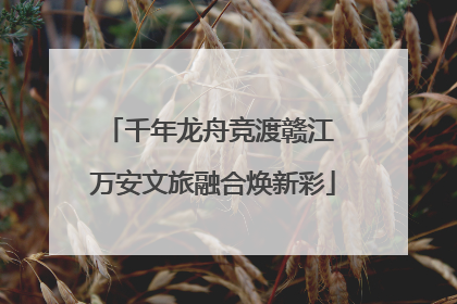 千年龙舟竞渡赣江 万安文旅融合焕新彩